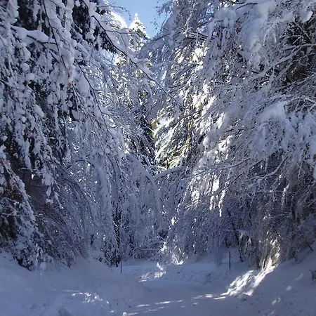 Отель Hotel-gasthof Strasswirt