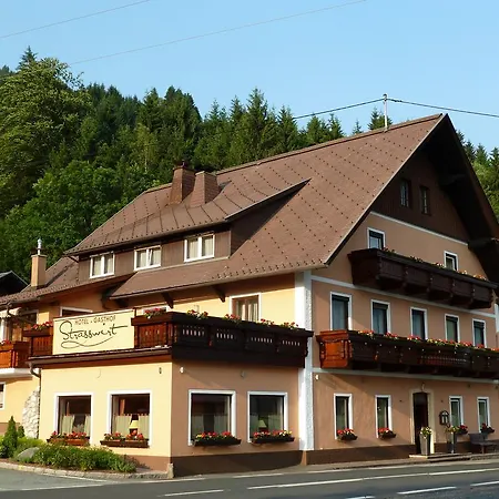 Hotel-gasthof Strasswirt 3* Tröpolach