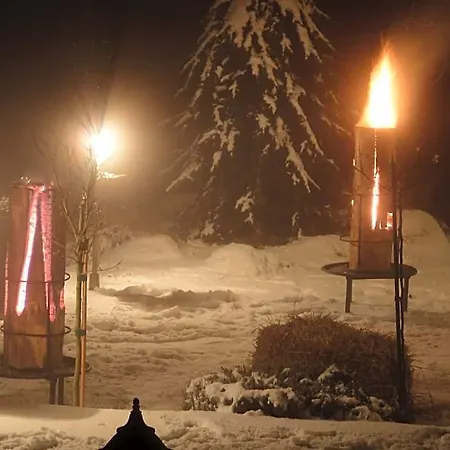 Hotel-gasthof Strasswirt 호텔 트로폴라흐