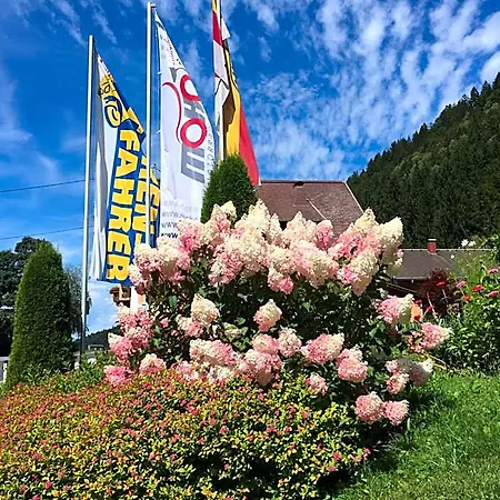Hotel-gasthof Strasswirt 호텔 3*