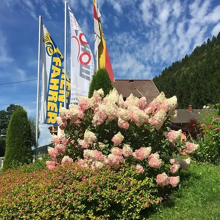 Отель Hotel-gasthof Strasswirt 3*